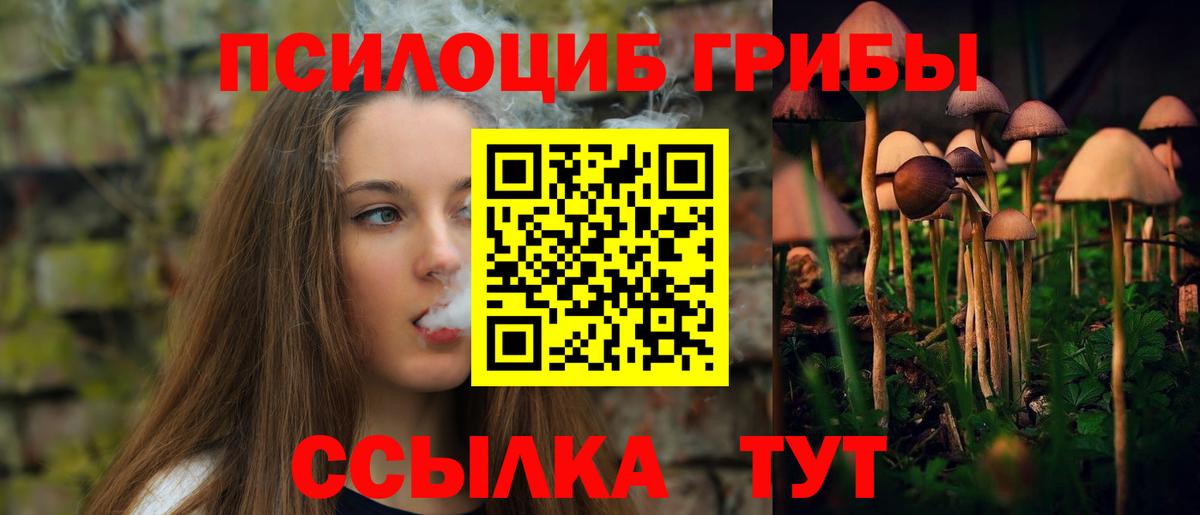 Псилоцибиновые грибы мухоморы  Псилоцибиновые грибы MAGIC MUSHROOMS  Майкоп  Вход с VPN 